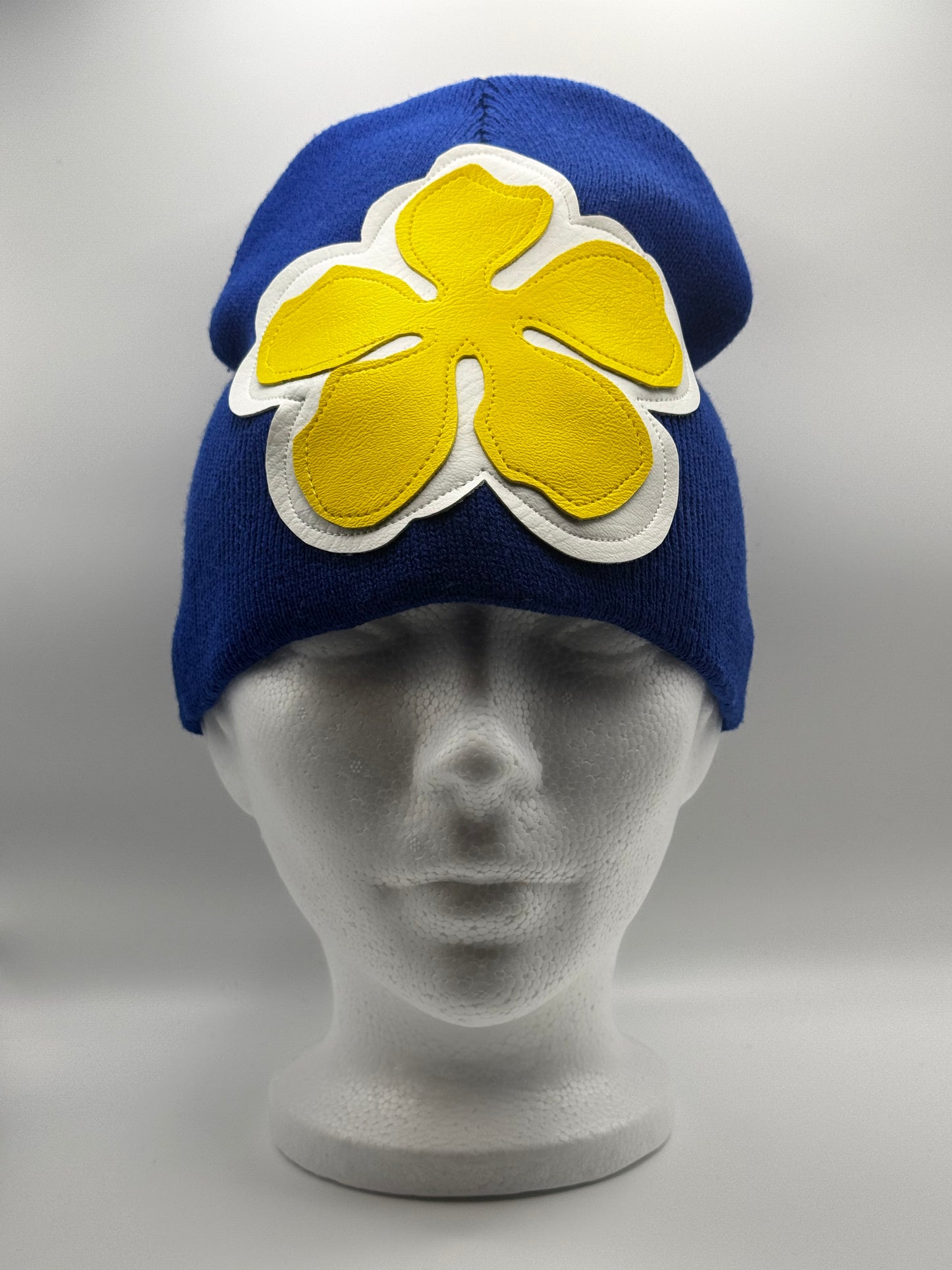 Blue & Yellow