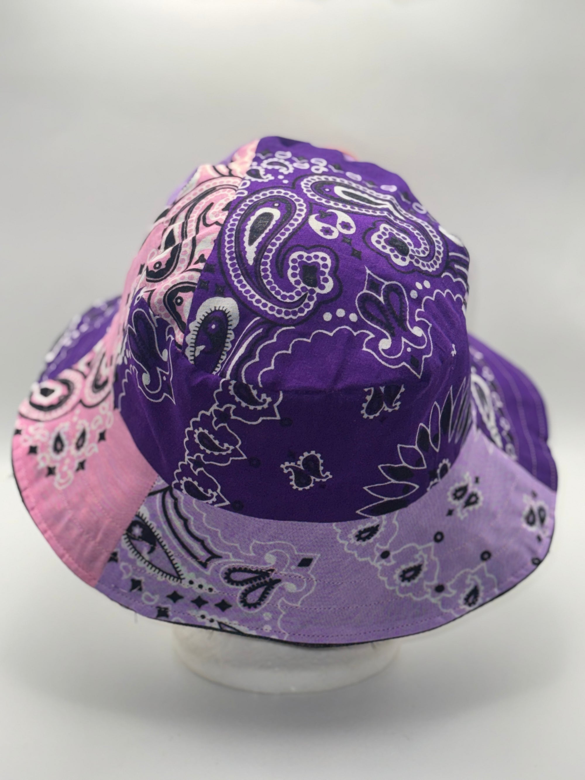 Danna ( Purple &amp; Pink )