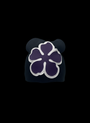 Black & Purple